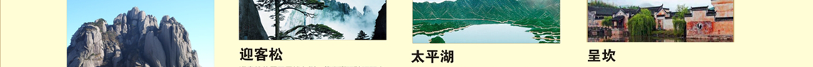 虹桥幸福行
