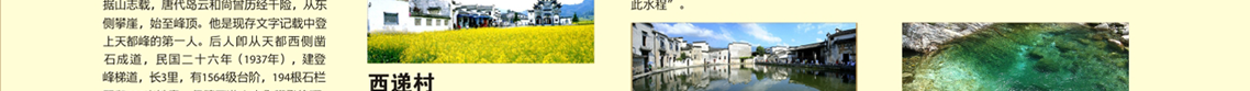 虹桥幸福行