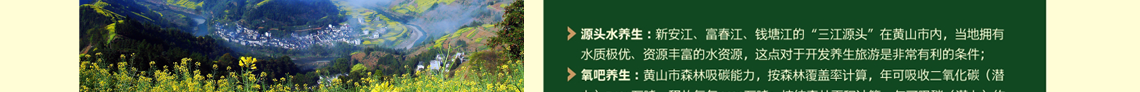 虹桥幸福行