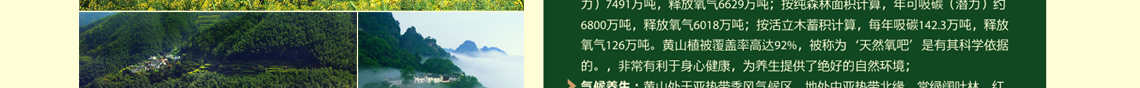 虹桥幸福行