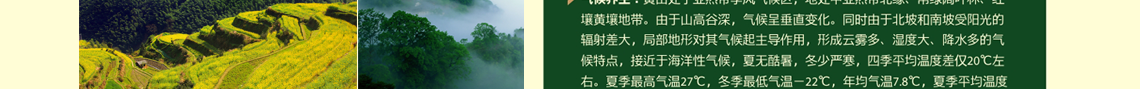 虹桥幸福行