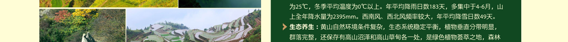虹桥幸福行