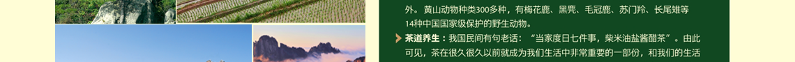 虹桥幸福行